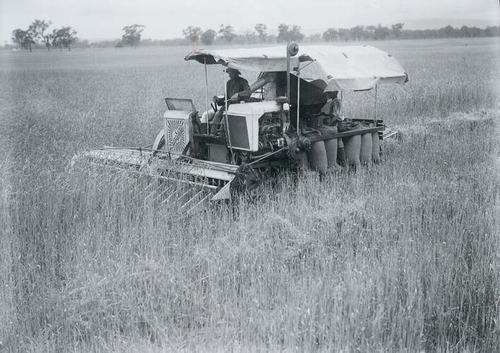 One man is driving a harvester, whilst a second man is bagging grain at the back.