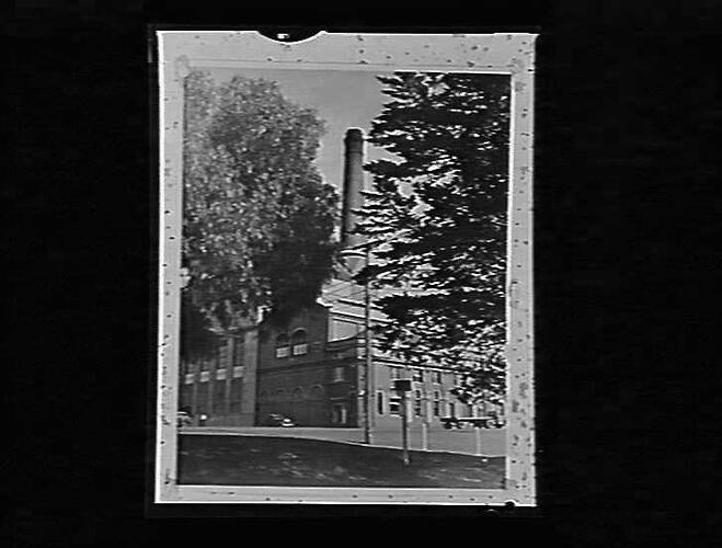 Negative - Photograph