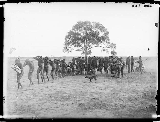 Warumungu men and women dancing in a ceremony, Tennant Creek, Central Australia, 1901