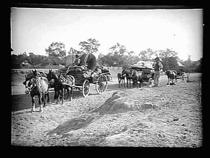 Glass Negative - Two Horsedrawn Wagons, by A.J. Campbell, Echuca District, Victoria, 1894