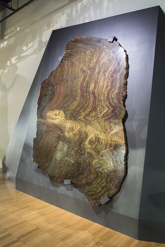 Banded iron slab displayed on wall in museum gallery.