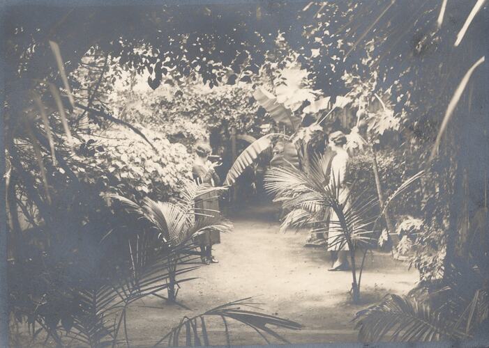 Woman filming another woman in tropical garden.