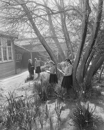 Mentone Grammar School, Girls Drawing Outside, Mentone, Victoria, 19 Aug 1959