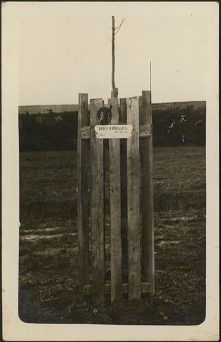 Avenue of Honour Tree, 'Bert Bullus', Ballarat, circa 1919