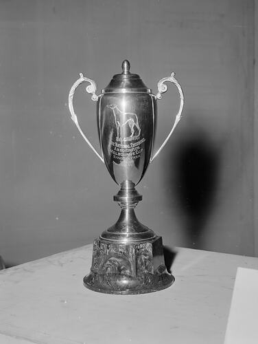 Sporting Globe, National Coursing Association Cup Trophy, HSV 7 Studios, South Melbourne, Victoria, 01 Nov 1959