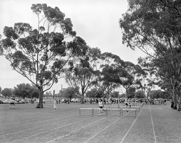 Melbourne City Council, Hurdle Race, Royal Park Athletic Field, Victoria, 14 Nov 1959