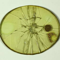Goggle Glass - Triplex Safety Glass, circa 1915-1918 (Shattered) (Front)