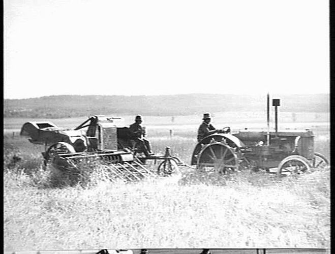 8 FT HEADER ON MR W.S. BAKER'S FARM GUNNEDAH N.S.W. 10 BAGS PER ACRE OF CANBERRA WHEAT