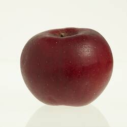 Wax model of an apple with stem, painted dark red, with stem.