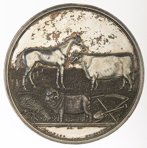 Medal - Wimmera District Pastoral & Agricultural Society Silver Prize, 1873 AD