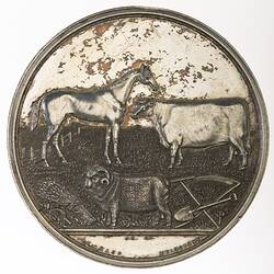 Medal - First Prize, 'Colonial White Wine', Wimmera & District Pastoral & Agricultural Society, Victoria, Australia, 1873