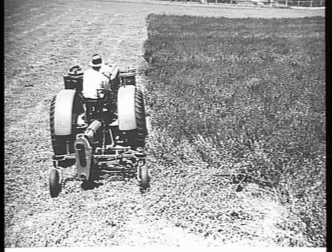 POWER TRACTOR TRAILER MOWER M.H. AT SOL GREENS BACCHUS MARSH JAN 1943