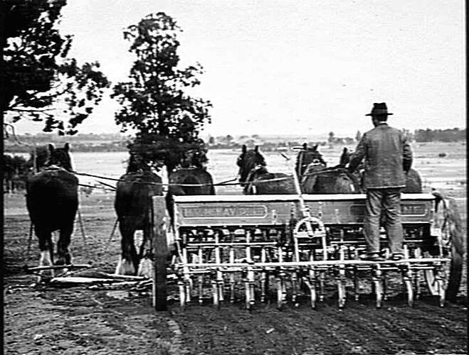 16-ROW `SUNTYNE' ON MR. O. FRITZ' FARM, CARWARP: AUGUST 1927
