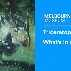 Triceratops: What's in a name?