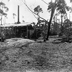 Negative - Eucalytus Distillery, Bald Hill, via Pakenham, Victoria, circa 1910