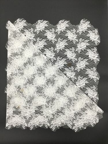 HT 57682.7, Veil - White Synthetic Lace, Iole Crovetti Marino, Sardinia, Italy, 1950s (CULTURAL IDENTITY), Object, Registered