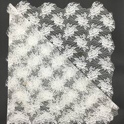 HT 57682.7, Veil - White Synthetic Lace, Iole Crovetti Marino, Sardinia, Italy, 1950s (CULTURAL IDENTITY), Object, Registered