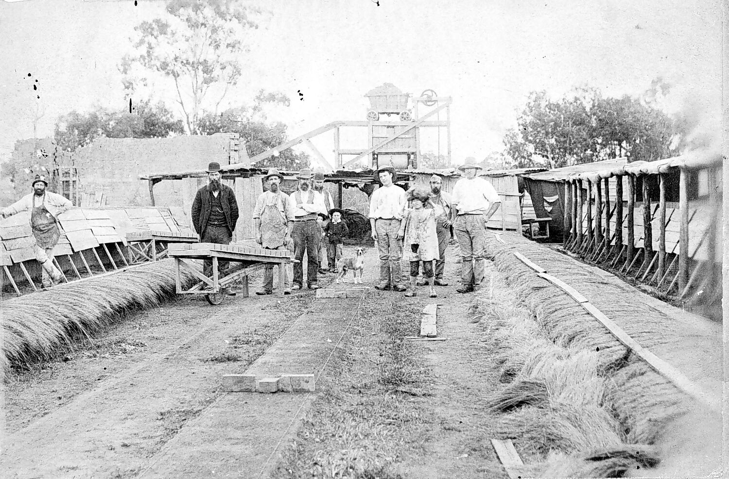 Negative Horsham, Victoria, circa 1890