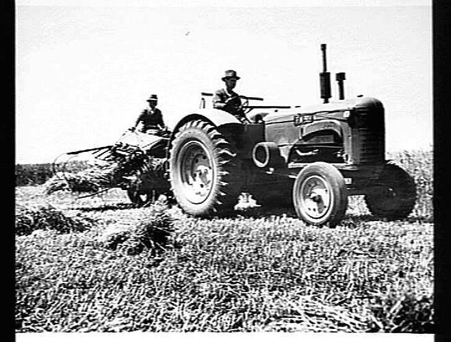 SUNSHINE POWER-TAKE-OFF REAPER AND BINDER AND SUNSHINE MASSEY HARRIS TRACTOR HARVESTING A TWO-TON CROP OF MULGA OATS ON MR. SOL GREEN'S PROPERTY AT BACCHUS MARSH, VIC. OCTOBER 1946.