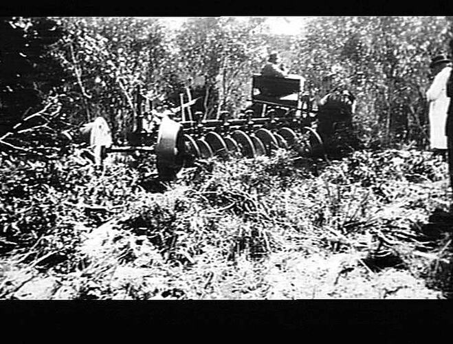 NOS 11, 12, 13 & 14. SCRUB PLOW WORKING AT A DEMONSTRATION HELD AT TINTINARA, S.A. MARCH 1929.