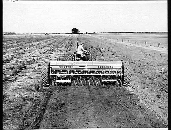 `SUNDISCER' FITTED TO 20-ROW 500 SERIES `SUNTYNE' SOWING WHEAT IN LIGHT WEED INFESTED MALLEE COUNTRY ON THE PROPERTY OF MR. W. W. ROBERTS, HOPETOUN, VIC.: JUNE 1955