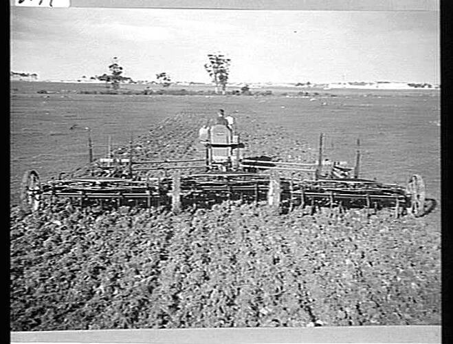3 SUNDUKE CULTIVATORS COUPLED TO TRACTOR (1 - 18 & 2 - 16'S) AT ALBION: JULY 1939