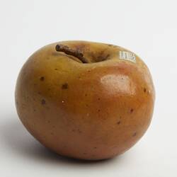 Wax model of yellow apple with slight red tinge.