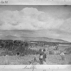 Photograph - 'Another', by A.J. Campbell, Bayswater, Victoria, Jun 1895