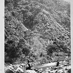 Photograph - by A.J. Campbell, Werribee Gorge, Victoria, 1892