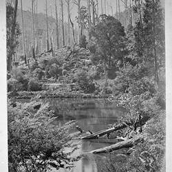 Photograph - 'Another', by A.J. Campbell, Warburton, Victoria, 1895