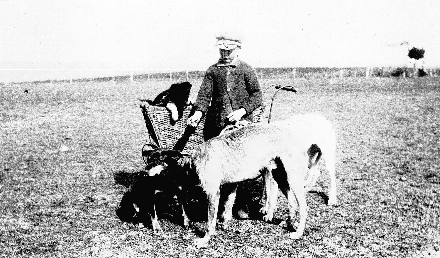 Negative Chetwynd District, Victoria, 1930