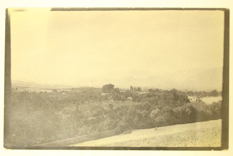 Forested plain with mountain range in background.