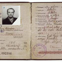 Hungarian identity card with photo and details