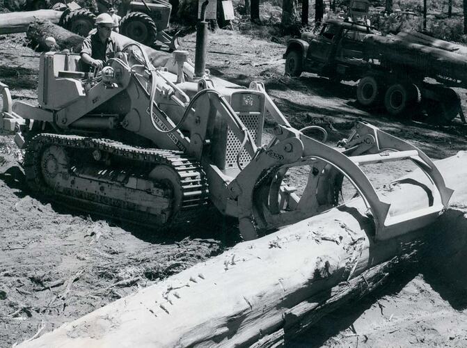 Man driving a crawler tractor fitted with a logging attachment, about to load a log onto a logging truck.