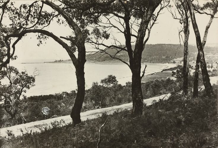 Photograph - Coastal Landscape, Lorne District, Victoria, circa 1920s