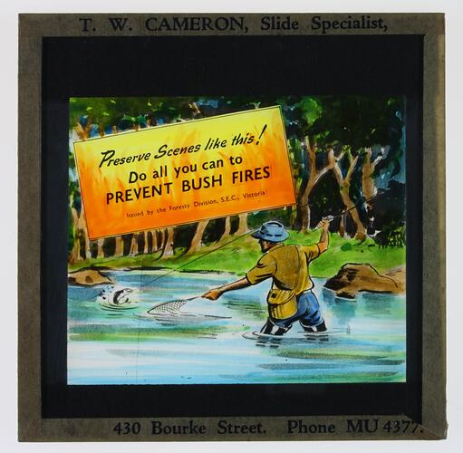 Glass Advertising Slide - 'Preserve Scenes like This!' Forestry Division, State Electricity Commission, Victoria, Australia, 1950-1960