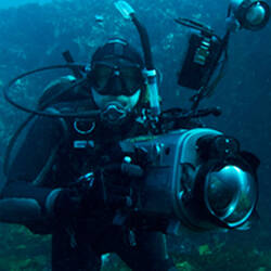 SCUBA diver underwater holding camera gear.