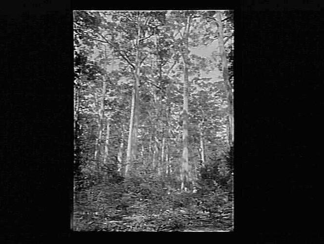 Negative - Glass