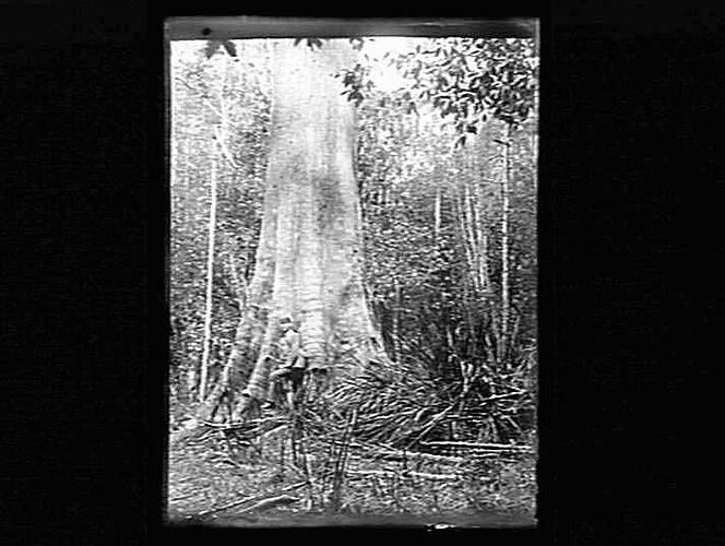 Negative - Glass