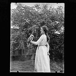 Glass Negative - Woman with Kookaburra, by A.J. Campbell, Australia, circa 1900