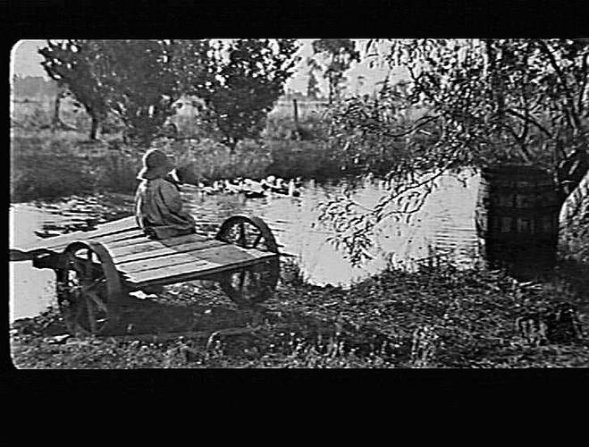 MERRIGUM - DUCK POND - ANDREWS FARM
