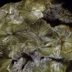 Round radial plates of yellow-cream mineral.