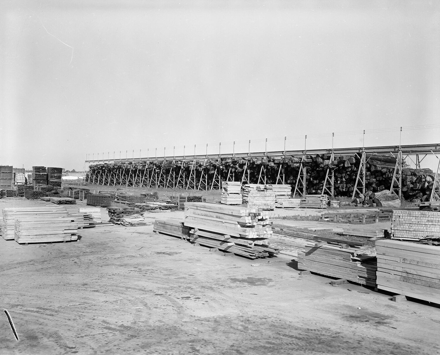 Negative - Alstergren Pty Ltd, Timber Yard, Heyfield, Victoria, 1958