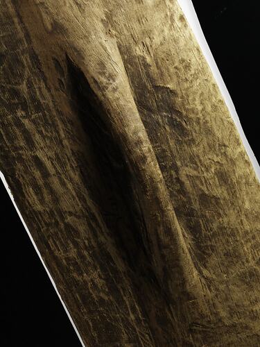 Shield, Australia, Rainforest