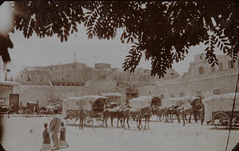 Horse-drawn Ambulances at Alexandria Railway Station