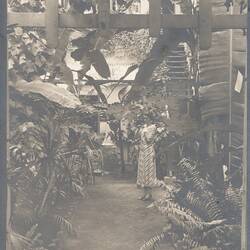 Photograph - Kodak Australasia Pty Ltd, Woman Filming in Back Garden, Kodak Branch, Townsville, QLD, 1930s