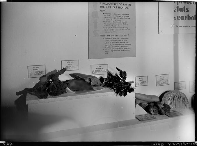 Copy Negative - Nutrition Display, Institute of Applied Science (Science Museum), Melbourne, circa 1968