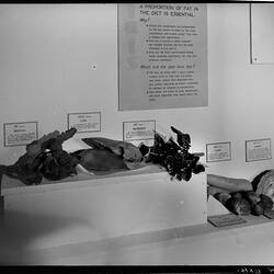 Glass Negative - Nutrition Display, Institute of Applied Science (Science Museum), Melbourne, circa 1968
