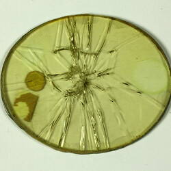 Goggle Glass - Triplex Safety Glass, circa 1915-1918 (Shattered) (Back)
