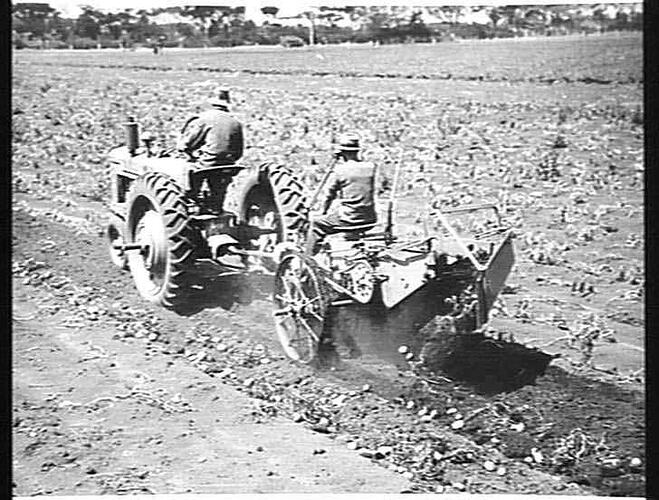 S.M.H. P.T.O. POTATO DIGGER. N. SCHMUTTER, KOO-WEE-RUP FEB 1945